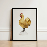 Gilded Rooster - Karl J. Hentz 1930s Decorative Art Print / Canvas Framed Illustration Golden Red Comb Wattle White Regal, Kitchen, Prints