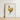 Framed Illustration Golden Rooster Red Comb Wattle White Regal Art, Hentz Decorative Kitchen, Gilded