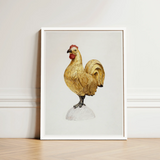 Gilded Rooster - Karl J. Hentz 1930s Decorative Art Print / Canvas Framed Illustration Golden Red Comb Wattle Egg Regal, Kitchen, Prints