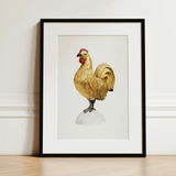 Gilded Rooster - Karl J. Hentz 1930s Decorative Art Print / Canvas Framed Artwork Detailed Illustration Golden Rooster Red Comb Regal Art,