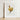 Framed Illustration Golden Rooster Red Comb Wattle White Regal Art, Hentz Decorative Kitchen, Gilded