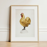 Gilded Rooster - Karl J. Hentz 1930s Decorative Art Print / Canvas Framed Illustration Golden Rooster Red Comb Wattle White Regal Art,