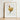 Framed Illustration Golden Rooster Red Comb Wattle White Regal Art, Hentz Decorative Kitchen, Gilded