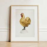 Gilded Rooster - Karl J. Hentz 1930s Decorative Art Print / Canvas Framed Illustration Golden Red Comb Wattle White Regal, Kitchen, Prints