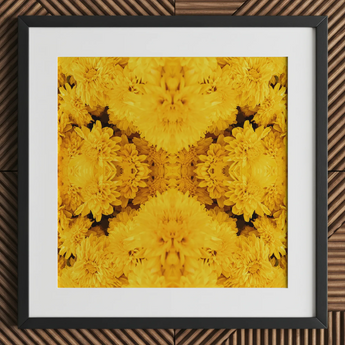 Gold Rush - Chrysanthemum Op Art Print / Canvas, 12x12’’ / 31x31cm / Black Frame / Matboard, Posters Prints & Visual Artwork, Toby Leon