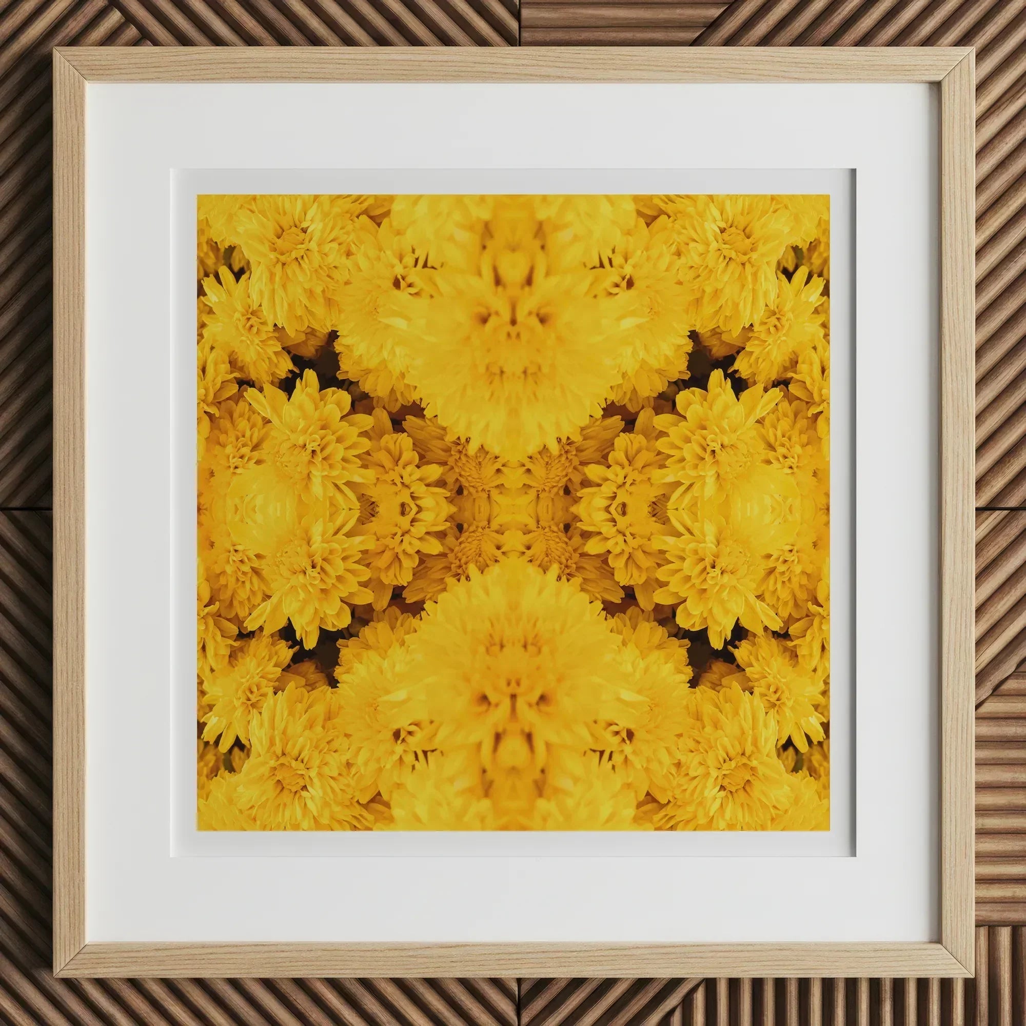 Gold Rush - Chrysanthemum Op Art Print, 12x12’’ / 31x31cm / Natural Frame / 2’’ Matboard, Framed Vibrant Yellow Chrysanthemum Floral