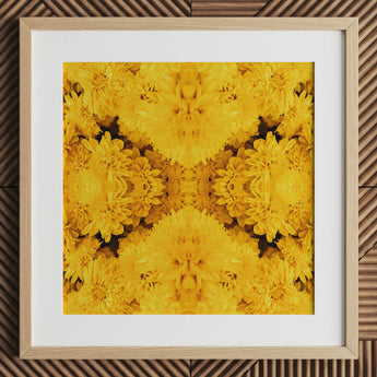 Gold Rush - Chrysanthemum Op Art Print / Canvas, 12x12’’ / 31x31cm / Natural Frame / Matboard, Posters Prints & Visual Artwork, Toby Leon