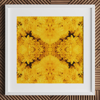 Gold Rush - Chrysanthemum Op Art Print / Canvas, 12x12’’ / 31x31cm / White Frame / Matboard, Posters Prints & Visual Artwork, Toby Leon