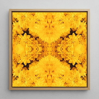 Gold Rush - Chrysanthemum Op Art Print / Canvas, 12x12’’ / 31x31cm / Natural Frame, Posters Prints & Visual Artwork, Toby Leon