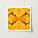 Gold Rush - Chrysanthemum Op Art Print / Canvas Square-framed Vibrant Symmetrical Mandala Design Golden-yellow Behold, Entrancing Floral