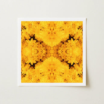 Gold Rush - Chrysanthemum Op Art Print / Canvas Square-framed Vibrant Symmetrical Mandala Design Golden-yellow Behold, Entrancing Floral