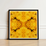 Vibrant Yellow Floral Mandala Print Sleek Black Frame Behold Gold Rush, Entrancing Symphony, Trippy Chrysanthemum Art