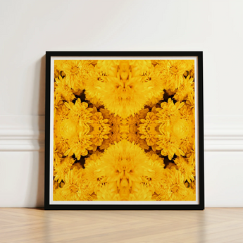 Vibrant Yellow Floral Mandala Print Sleek Black Frame Behold Gold Rush, Entrancing Symphony, Trippy Chrysanthemum Art