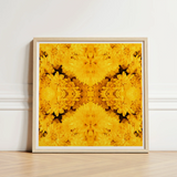 Square-framed Artwork Vibrant Symmetrical Pattern Golden-yellow Chrysanthemums Behold Gold Rush, Entrancing Floral Symphony, Trippy