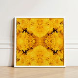 Vibrant Yellow Floral Art Print Sleek White Frame Behold Gold Rush, Entrancing Symphony, Trippy Chrysanthemum