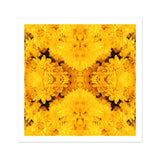 Gold Rush - Chrysanthemum Op Art Print / Canvas, Behold Gold Rush, Entrancing Floral Symphony, Trippy Chrysanthemum Art