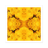 Gold Rush - Chrysanthemum Op Art Print / Canvas Kaleidoscopic Pattern Bright Yellow Flowers Arranged Symmetrical Behold, Entrancing Floral