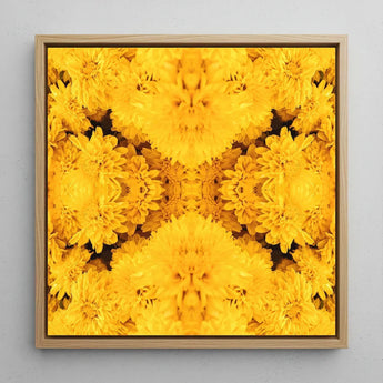 Gold Rush - Chrysanthemum Op Art Print / Canvas Square-framed Artwork Vibrant Symmetrical Pattern Golden-yellow Chrysanthemums Arranged