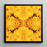 Gold Rush - Chrysanthemum Op Art Print / Canvas, Behold Gold Rush, Entrancing Floral Symphony, Trippy Chrysanthemum Art