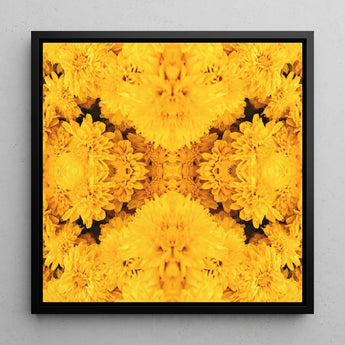 Gold Rush - Chrysanthemum Op Art Print / Canvas, Behold Gold Rush, Entrancing Floral Symphony, Trippy Chrysanthemum Art