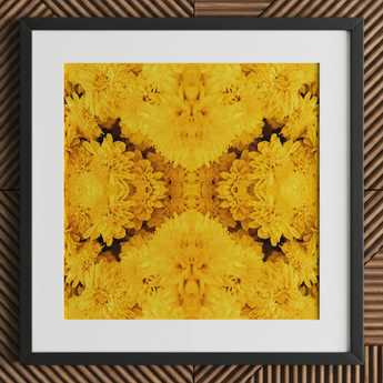 Gold Rush - Chrysanthemum Op Art Print / Canvas, Behold Gold Rush, Entrancing Floral Symphony, Trippy Chrysanthemum Art