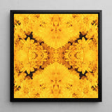 Gold Rush - Chrysanthemum Op Art Print / Canvas Vibrant Yellow Floral Sleek Black Frame Behold, Entrancing Symphony, Trippy Prints