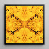 Gold Rush - Chrysanthemum Op Art Print / Canvas Vibrant Yellow Floral Sleek Black Frame Behold, Entrancing Symphony, Trippy Prints