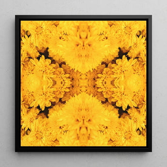Gold Rush - Chrysanthemum Op Art Print / Canvas Vibrant Yellow Floral Sleek Black Frame Behold, Entrancing Symphony, Trippy Prints
