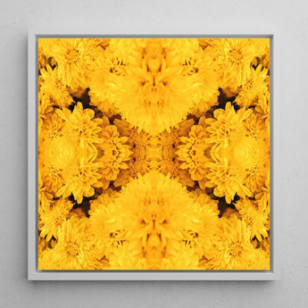 Gold Rush - Chrysanthemum Op Art Print / Canvas Vibrant Yellow Floral Sleek White Frame Behold, Entrancing Symphony, Trippy Prints