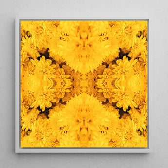 Gold Rush - Chrysanthemum Op Art Print / Canvas Vibrant Yellow Floral Sleek White Frame Behold, Entrancing Symphony, Trippy Prints