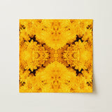 Gold Rush - Chrysanthemum Op Art Print / Canvas, Behold Gold Rush, Entrancing Floral Symphony, Trippy Chrysanthemum Art