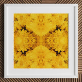 Gold Rush - Chrysanthemum Op Art Print / Canvas White Framed Artwork Vibrant Symmetrical Pattern Golden-yellow Chrysanthemums Behold,