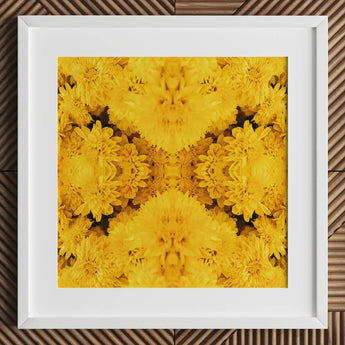 Gold Rush - Chrysanthemum Op Art Print / Canvas White Framed Artwork Vibrant Symmetrical Pattern Golden-yellow Chrysanthemums Behold,