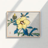Framed Japanese Woodblock Print Vibrant Yellow Hibiscus Flower Kōno Bairei’s Golden, Meiji-era Kacho-e Masterwork, Bairei Meiji Era