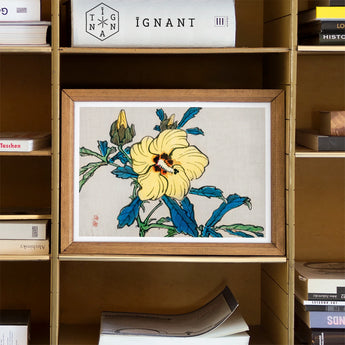 Golden Hibiscus - Kono Bairei Meiji Era Art Print / Canvas Framed Watercolor Artwork Yellow Flower Blue-green Leaves Kōno Bairei’s,
