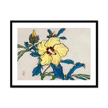 Golden Hibiscus - Kōno Bairei Meiji Era Art Print, Yellow Hibiscus Flower Blue-green Leaves Traditional Japanese Woodblock