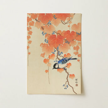 Traditional Japanese Woodblock Print Blue White Bird Perched Ohara Koson, Art, Great Tit, Paulownia Branch, Acrobat Swings Upside, Japan