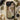 Half Naked Woman - Egon Schiele Phone Case Iphone, Raw Line Presses, Restless Urgency
