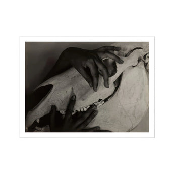 Hands and Horse Skull - Alfred Stieglitz Art Print / Canvas, 14x11’’ / 36x28cm / Unframed / White Border, Posters Prints & Visual Artwork,