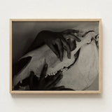 Black-and-white Framed Photograph Hands Gently Skull Alfred Stieglitz’s Haunting, Horse, Stieglitz Art Print