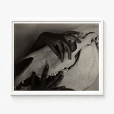Black-and-white Framed Photograph Two Hands Gently Human Skull Alfred Stieglitz’s Haunting, Horse, Stieglitz Art Print