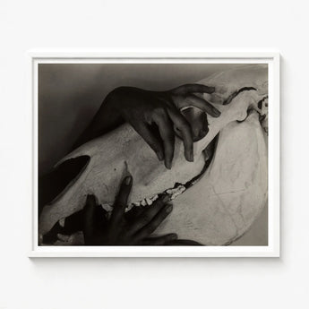 Black-and-white Framed Photograph Two Hands Gently Human Skull Alfred Stieglitz’s Haunting, Horse, Stieglitz Art Print
