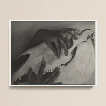 Hands and Horse Skull - Alfred Stieglitz Art Print / Canvas, 14x11’’ / 36x28cm / White Frame, Posters Prints & Visual Artwork, Toby Leon