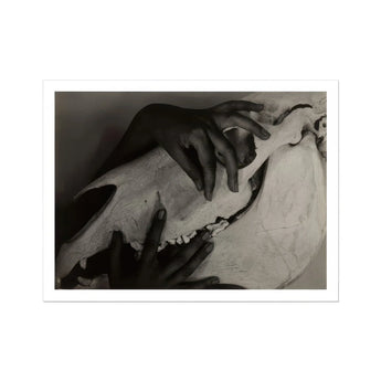 Hands and Horse Skull - Alfred Stieglitz Art Print / Canvas Animal Skull Hands Black White Alfred Stieglitz’s Haunting Hands, Horse