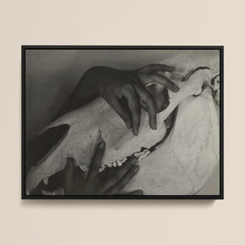 Hands and Horse Skull - Alfred Stieglitz Art Print / Canvas Black-framed Black-and-white Photograph Gently Stieglitz’s Haunting, Prints