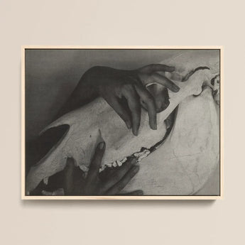 Hands and Horse Skull - Alfred Stieglitz Art Print / Canvas Black-and-white Framed Artwork Gently Stieglitz’s Haunting, Photograph, Prints