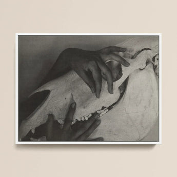 Hands and Horse Skull - Alfred Stieglitz Art Print / Canvas Black-and-white Framed Artwork Hand Gently Animal Skull Alfred Stieglitz’s