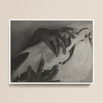 Hands and Horse Skull - Alfred Stieglitz Art Print / Canvas Black-and-white Framed Artwork Hand Gently Animal Stieglitz’s Haunting,