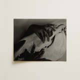 Hands and Horse Skull - Alfred Stieglitz Art Print / Canvas Black-and-white Photographic Print Hands Gently Skull Alfred Stieglitz’s