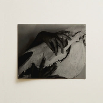 Hands and Horse Skull - Alfred Stieglitz Art Print / Canvas Black-and-white Photographic Gently Stieglitz’s Haunting, Photograph, Prints